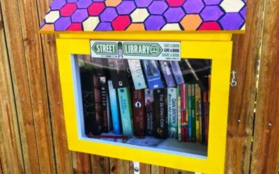 Street Libraries spread around Brisbane