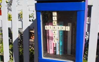 Take a book, give a book, share a book – How the Street Library movement is growing in Newcastle & The Hunter – Newy with Kids