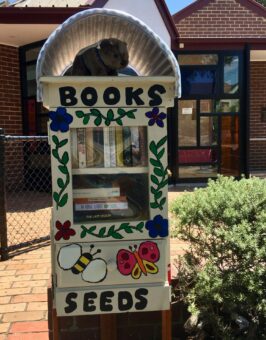 Castlefield Community Centre Street Library - Street Library Australia