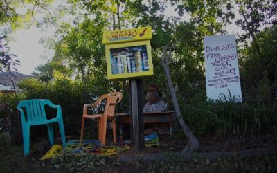 Our suburban food forests: Dennis’s garden, February 2019, with street library