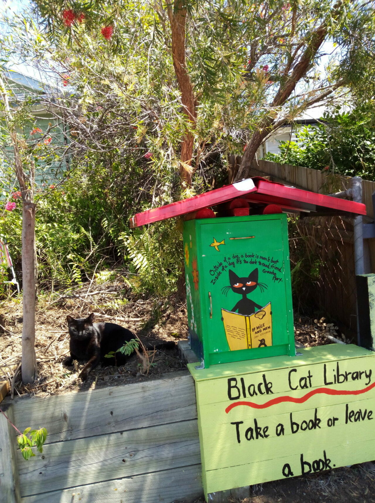 Black Cat Library - Street Library Australia