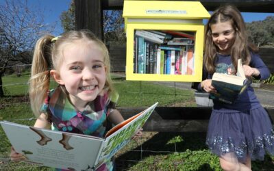 Neighbourhood street library a ‘hoot’ for little ones and literacy