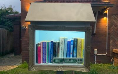Discover how Megs and Alex installed solar power to their Street Library!