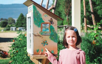 Little library aims to strengthen community ties