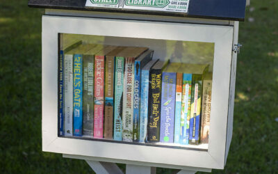 The extensive guide of Port Stephens’ Street Libraries