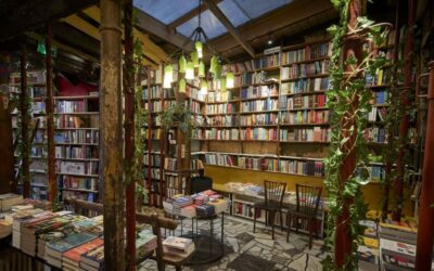 8 Cool Bookstores and Libraries You Can Spend the Night In