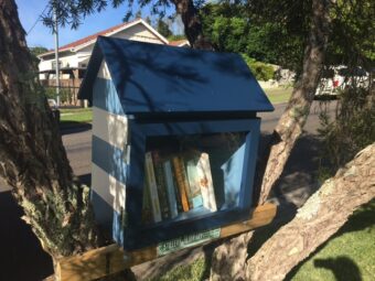 Street Library in a tree