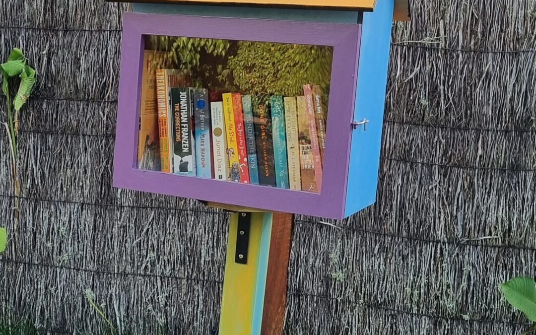 The Cora and Dora Little Library