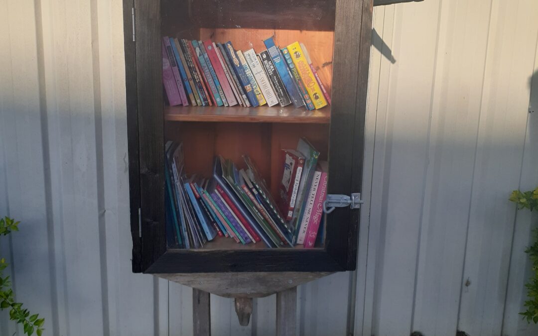 Maitland Community Pre-school Street Library