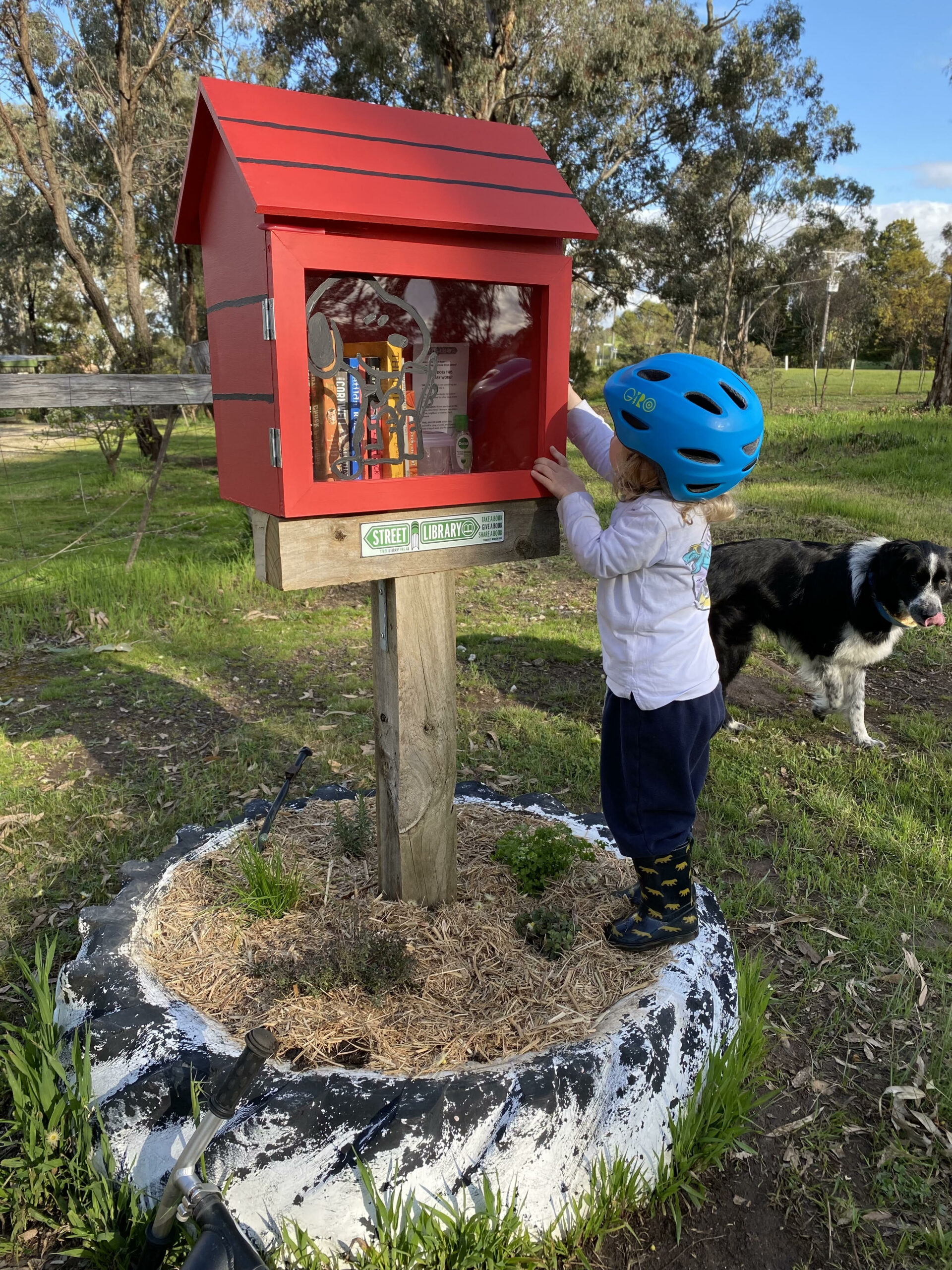 A blue and yellow version of Street Library Australia's 'The Shed'.