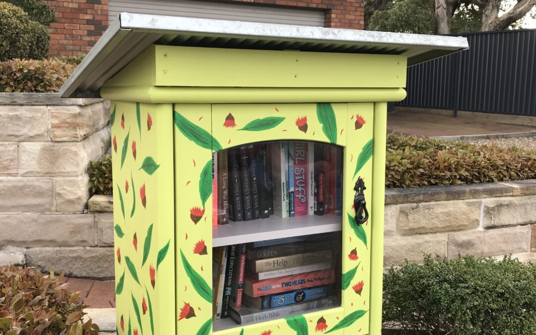Looking After Your Street Library