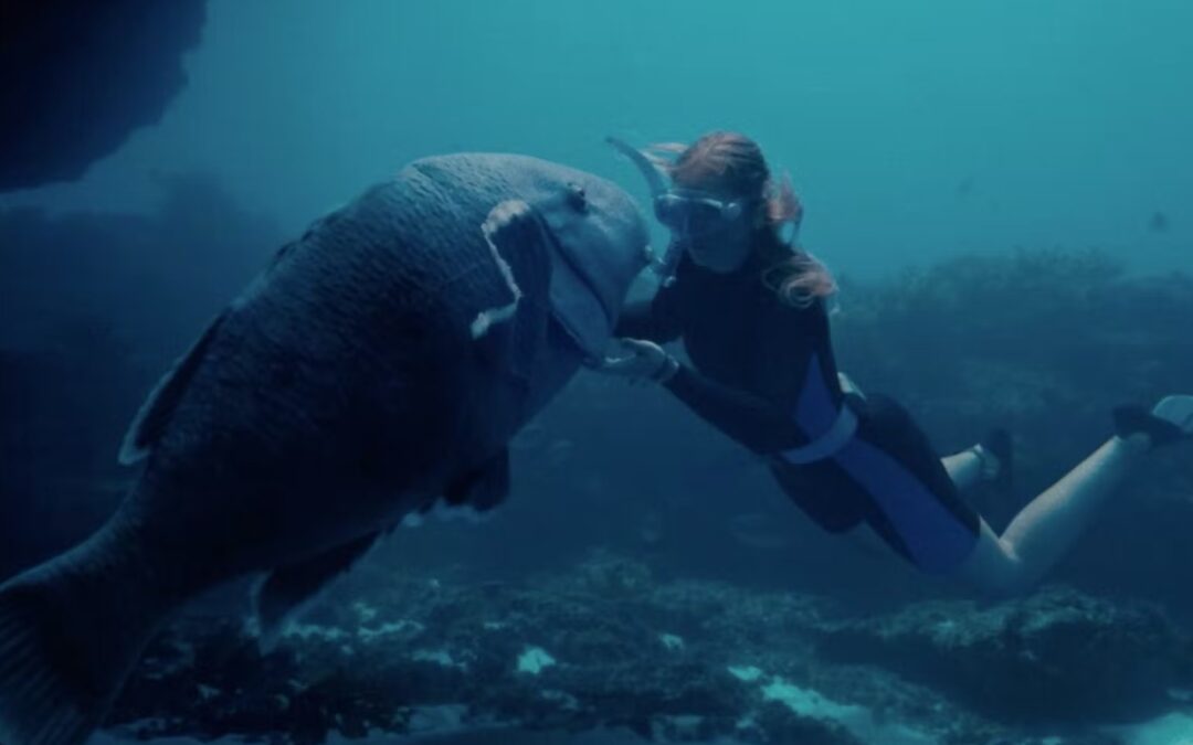 Catch The Film Adaptation Of Blueback Based On The Work Of Street Library Patron Tim Winton