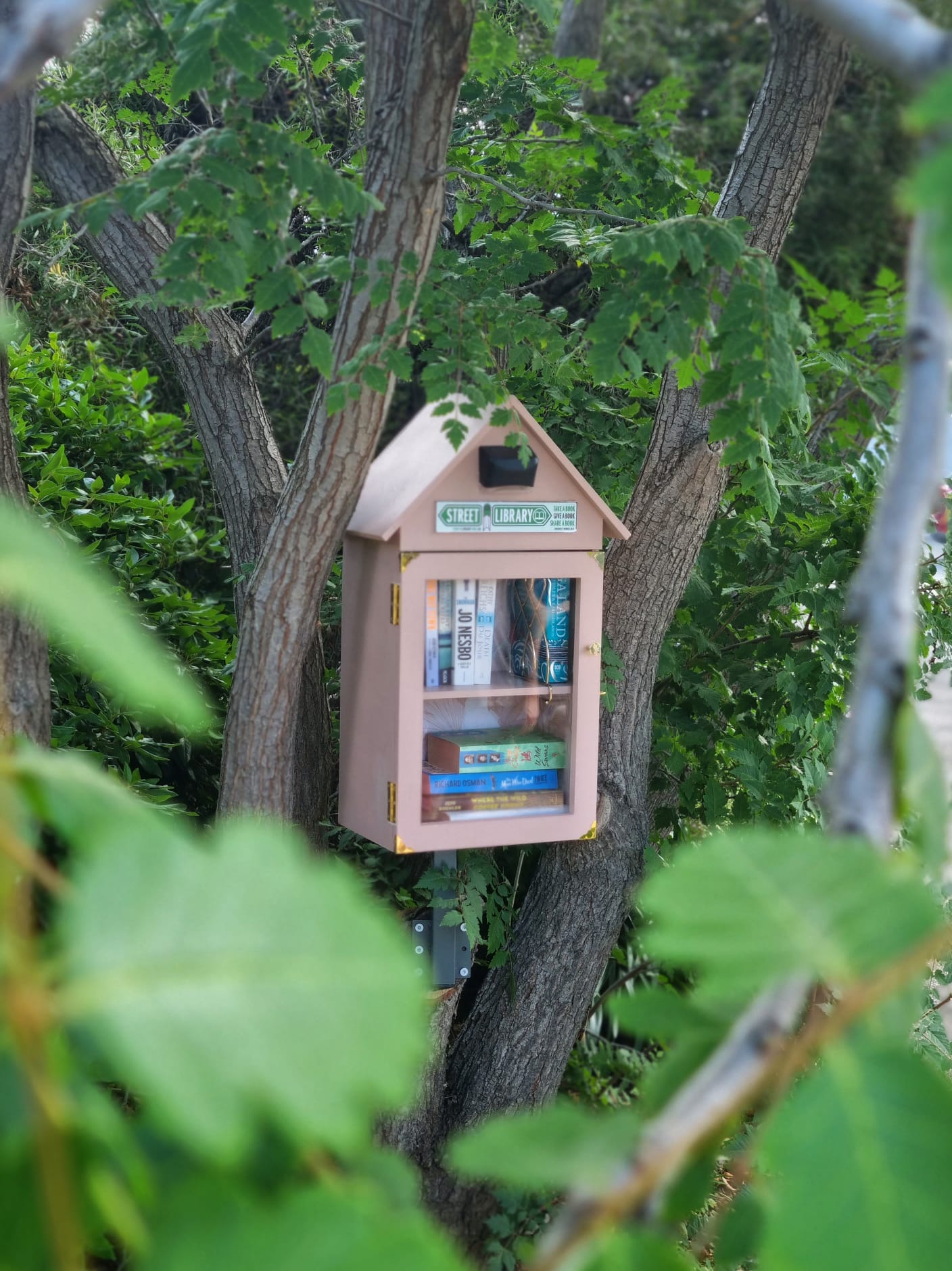 A pink Street Library nestled in the branches of a tree