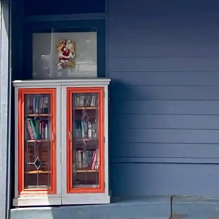 A Street Library made from a repurposed kitchen cabinet.