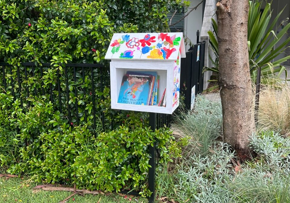 Little Achievers Community Library
