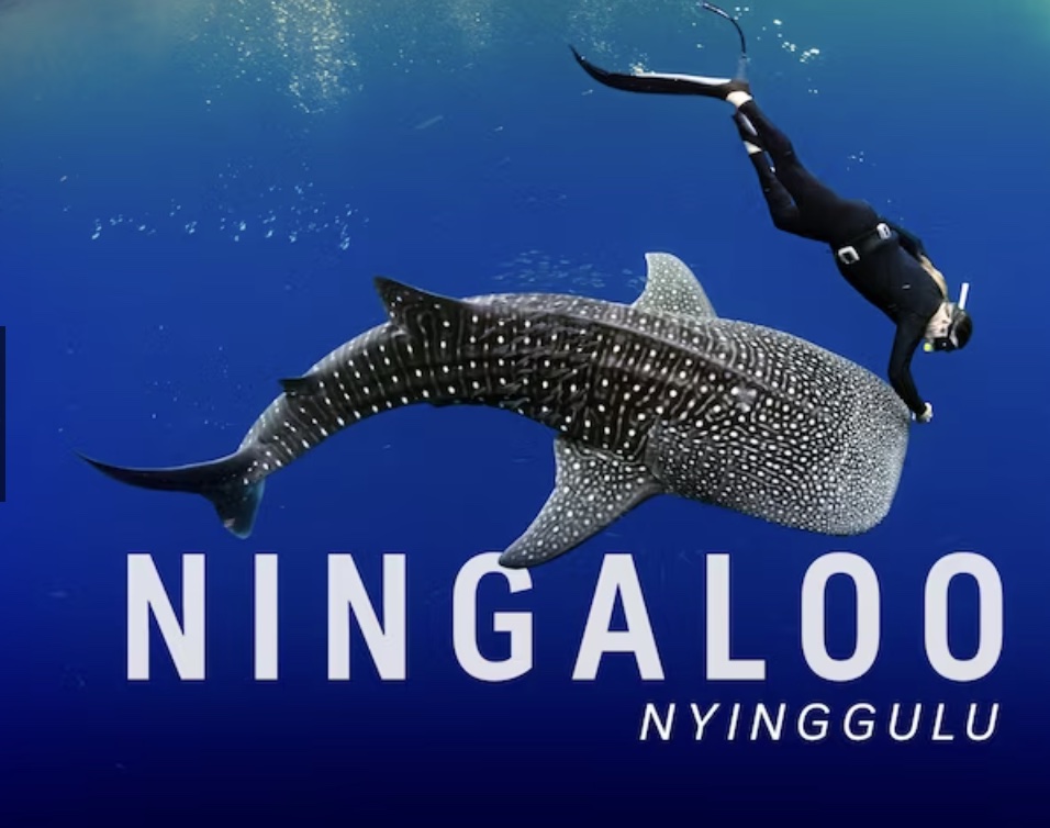 Promotional Image for Ningaloo - written, produced and narrated by Tim Winton.