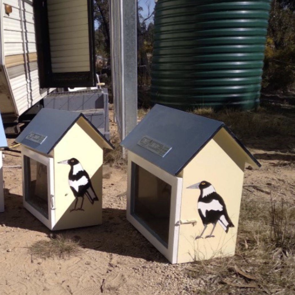 Two Street Libraries with Magpies painted on them.