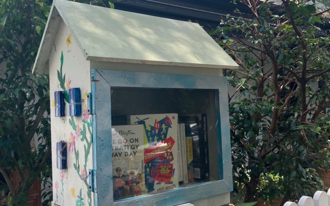 Street Library GM shares the story on National Shared Reading Week with Story Box Library