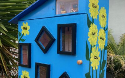Street Library of the Moment – The Willowbank Bookery