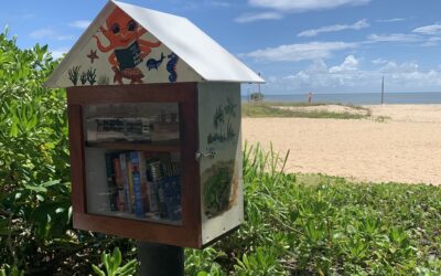 Street Library of the Moment – Beach Book Treasure Street Library at Yorkeys Knob