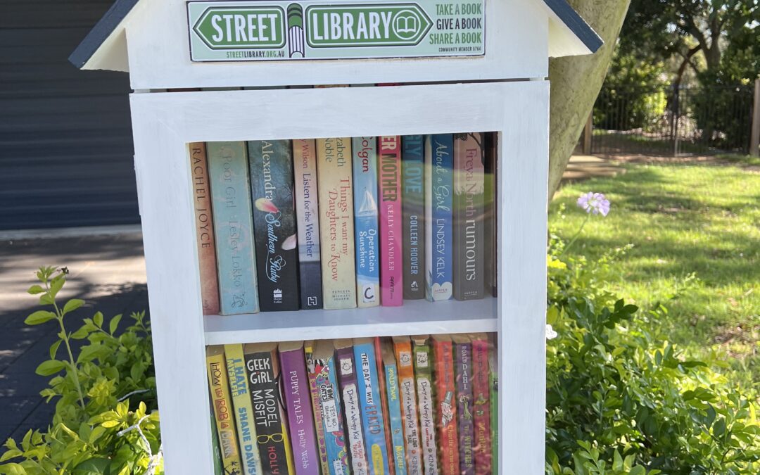 Help Us Register Street Libraries This Summer