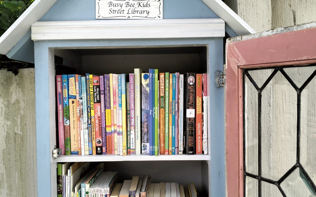 Busy Bees Kids Library