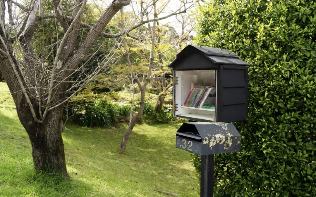 Read: In a world of overwhelming choice, I love the whittled-down book selection at my local street library 