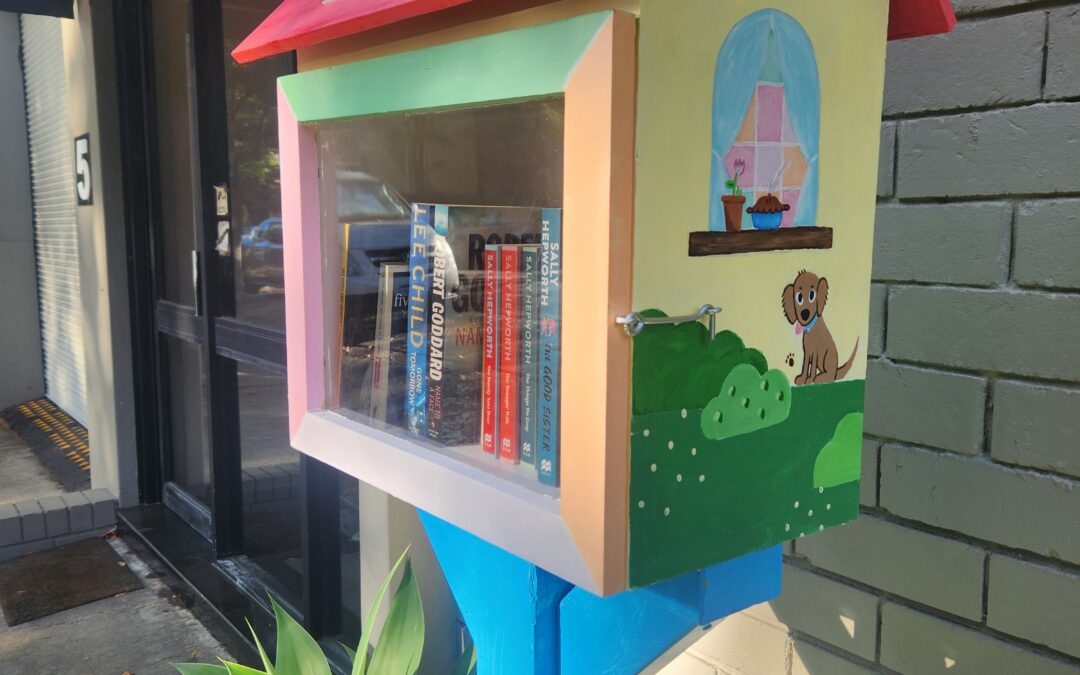 Big Picture Street Library