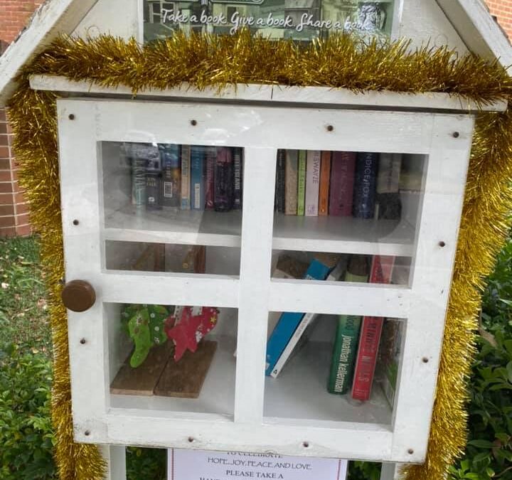 Little Langy Library